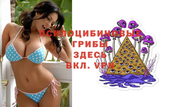 стафф Надым