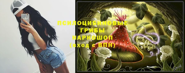 соль ск Навашино