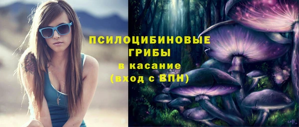 стафф Надым