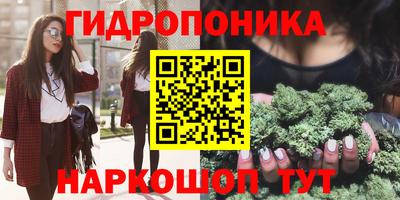 шишки Апшеронск