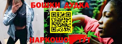 шишки Апшеронск