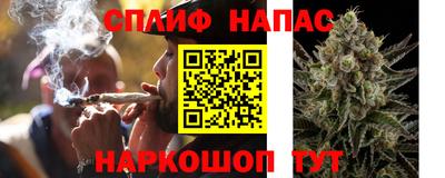 шишки Апшеронск