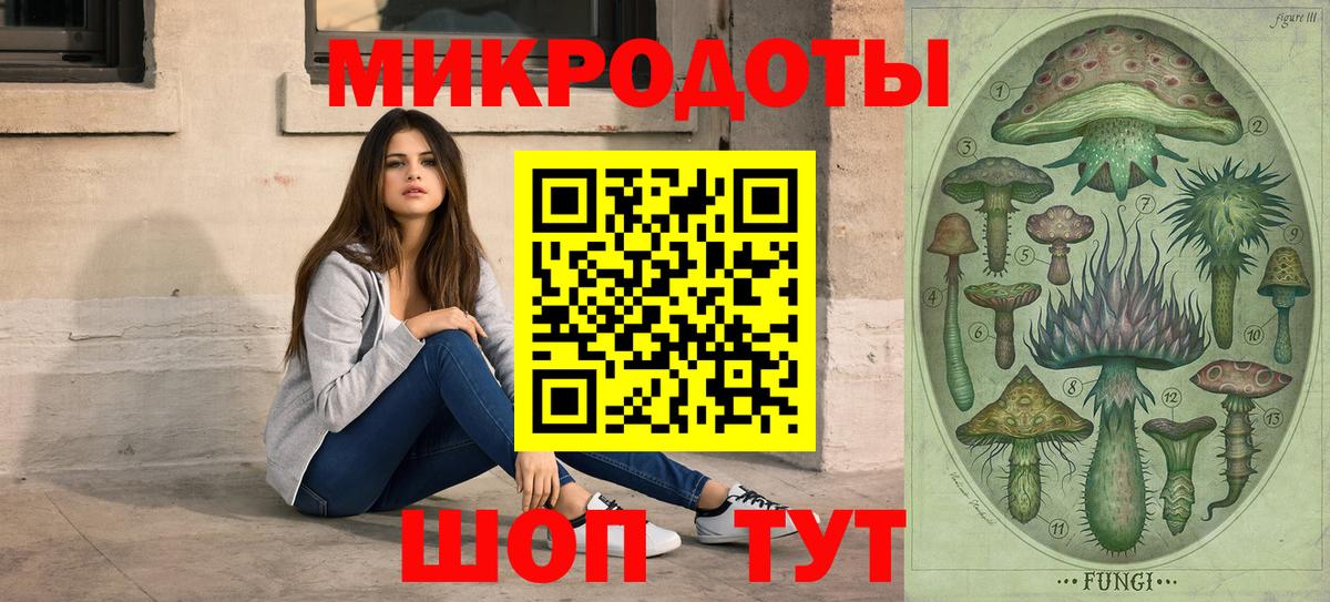 Псилоцибиновые грибы ЛСД  Белгород  Галлюциногенные грибы GOLDEN TEACHER 