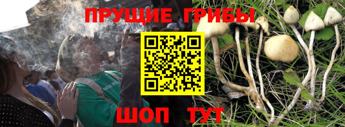 Псилоцибиновые грибы мухоморы Белгород