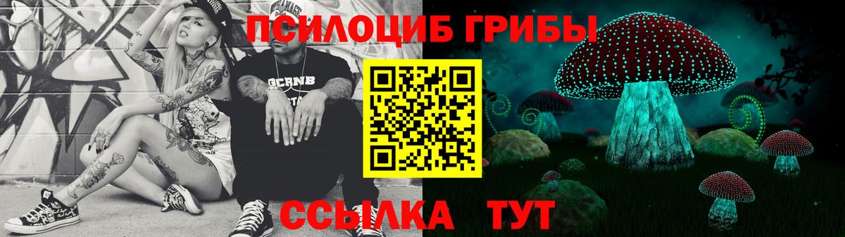 Галлюциногенные грибы Psilocybine cubensis Белгород