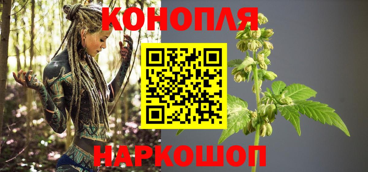 Канабис планчик  Вход с VPN  Канабис индика  Белгород  Конопля OG Kush 